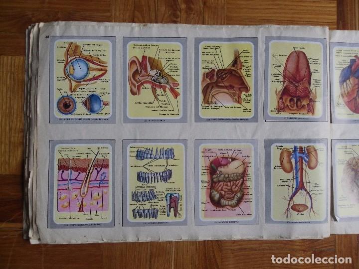 Coleccionismo &aacute;lbum: &Aacute;lbum vida y color - Foto 40