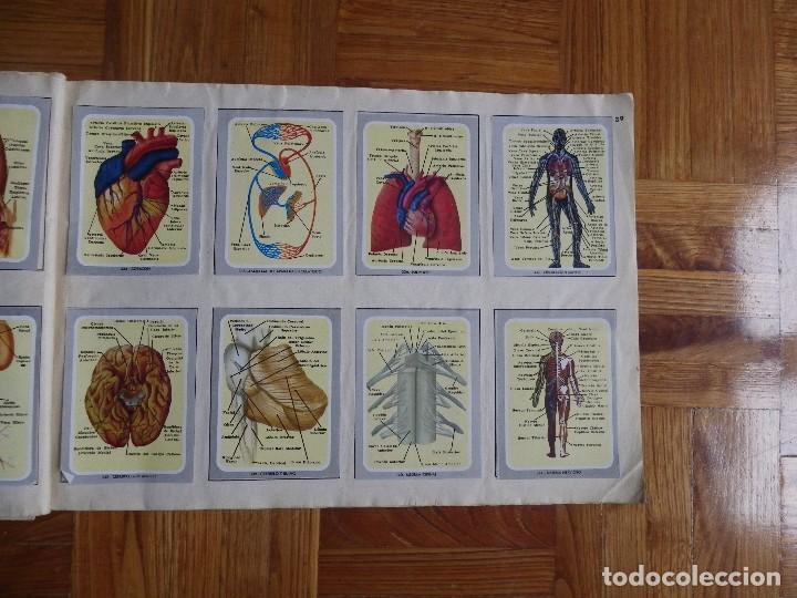 Coleccionismo &aacute;lbum: &Aacute;lbum vida y color - Foto 41