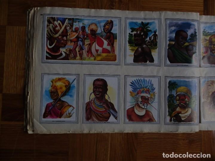 Coleccionismo &aacute;lbum: &Aacute;lbum vida y color - Foto 42
