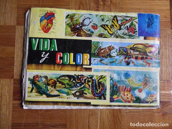 Coleccionismo &aacute;lbum: &Aacute;lbum vida y color - Foto 48