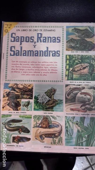 Collezionismo &Aacute;lbum: ALBUM DE CROMOS SAPOS Y RANAS  completo