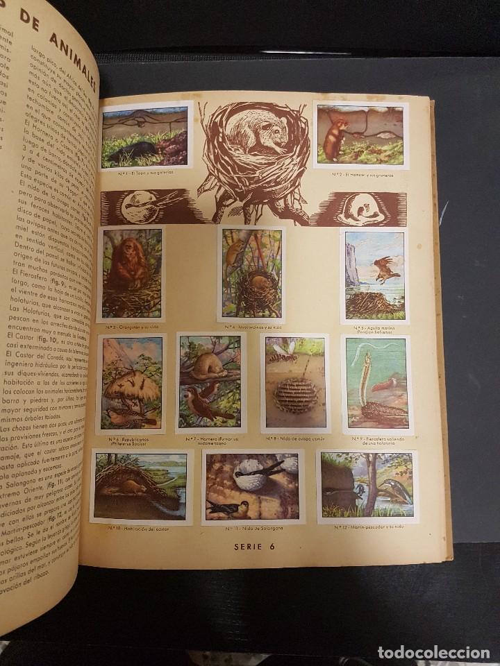 Coleccionismo &aacute;lbum: CURIOSIDADES DEL UNIVERSO - Foto 8