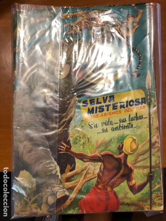 Collectable Albums: de la selva misteriosa a los abismos del mar completo
