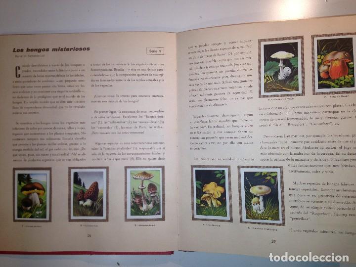 Coleccionismo &aacute;lbum: Las Maravillas del universo 1&ordm; - Foto 11