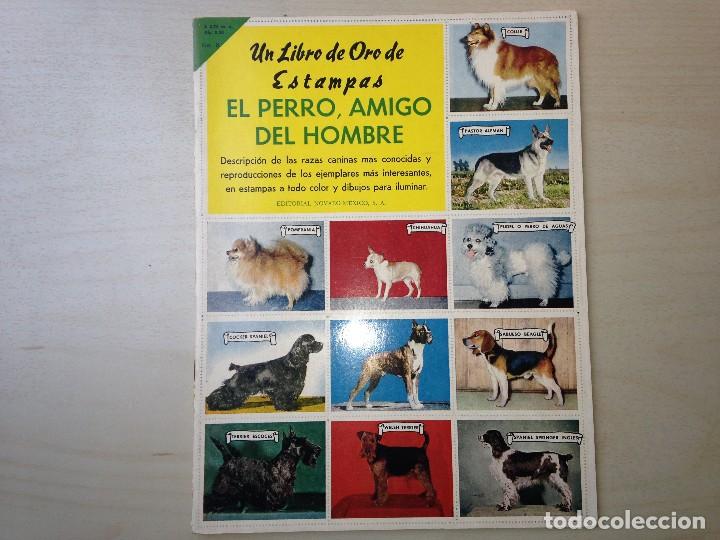 Coleccionismo &aacute;lbum: El perro, amigo del hombre - Foto 1