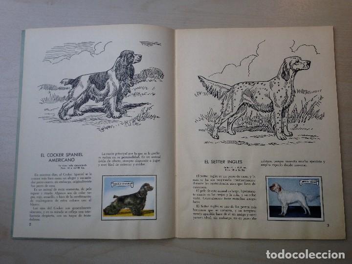 Coleccionismo &aacute;lbum: El perro, amigo del hombre - Foto 3