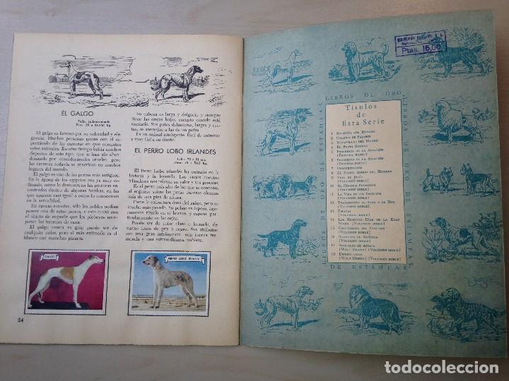 Coleccionismo &aacute;lbum: El perro, amigo del hombre - Foto 4
