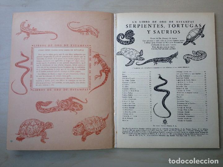 Coleccionismo &aacute;lbum: Serpientes, tortugas y saurios - Foto 2