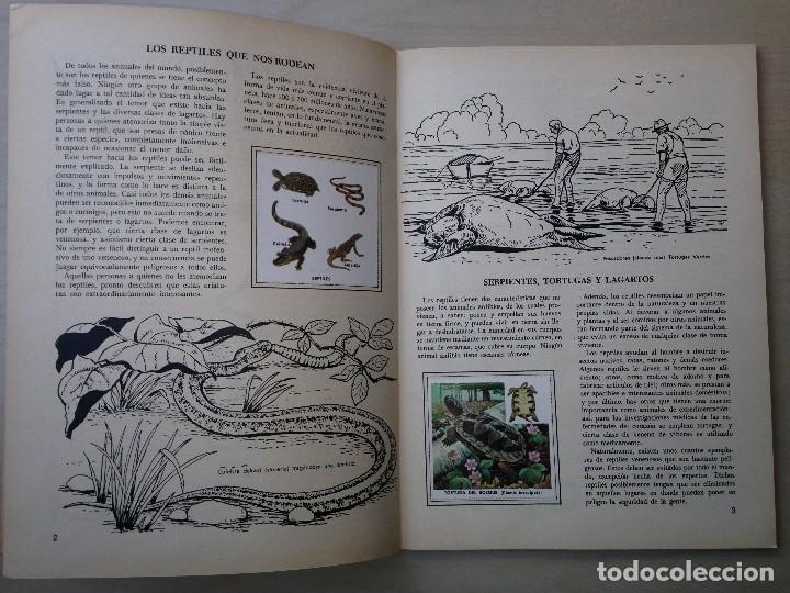 Coleccionismo &aacute;lbum: Serpientes, tortugas y saurios - Foto 3
