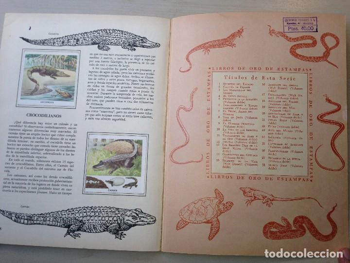 Coleccionismo &aacute;lbum: Serpientes, tortugas y saurios - Foto 4