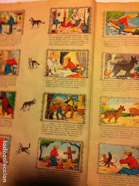 Coleccionismo &aacute;lbum: rin-tin-tin - completo - Foto 11