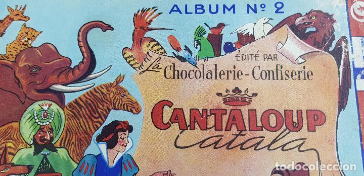 Collectable Albums: ALBUM FRANCES CANTALOUP CATALA COMPLETO 272 CROMOS A&Ntilde;OS 50