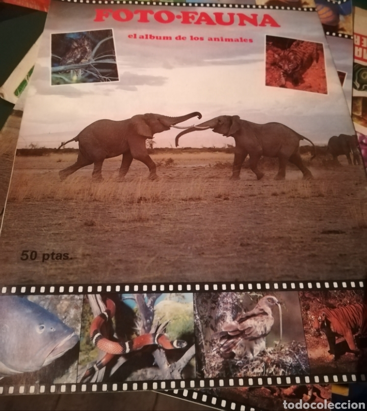 Collectionnisme Album: Album completo de animales Foto-fauna. 1985