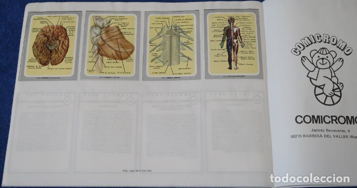 Coleccionismo &aacute;lbum: Vida y color - Comicromo (1992) &iexcl;Completo e impecable! - Foto 8