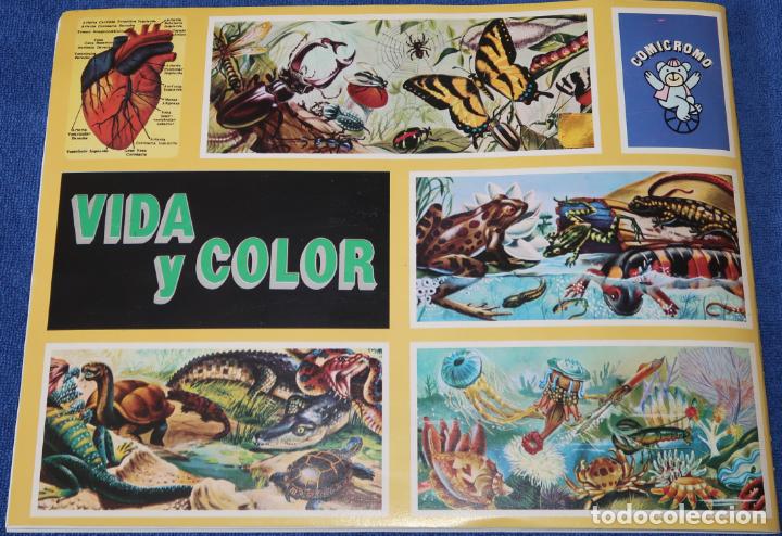 Coleccionismo &aacute;lbum: Vida y color - Comicromo (1992) &iexcl;Completo e impecable! - Foto 10