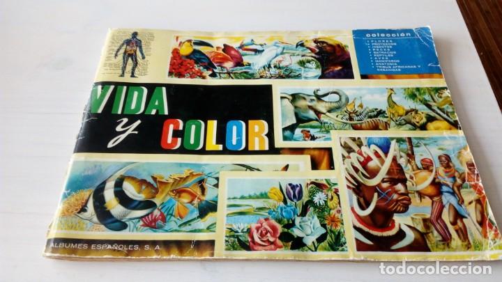 Collectable Albums: ALBUM COMPLETO A FALTA DE UNO VIDA Y COLOR ALBUMES ESPA&Ntilde;OLES S.A