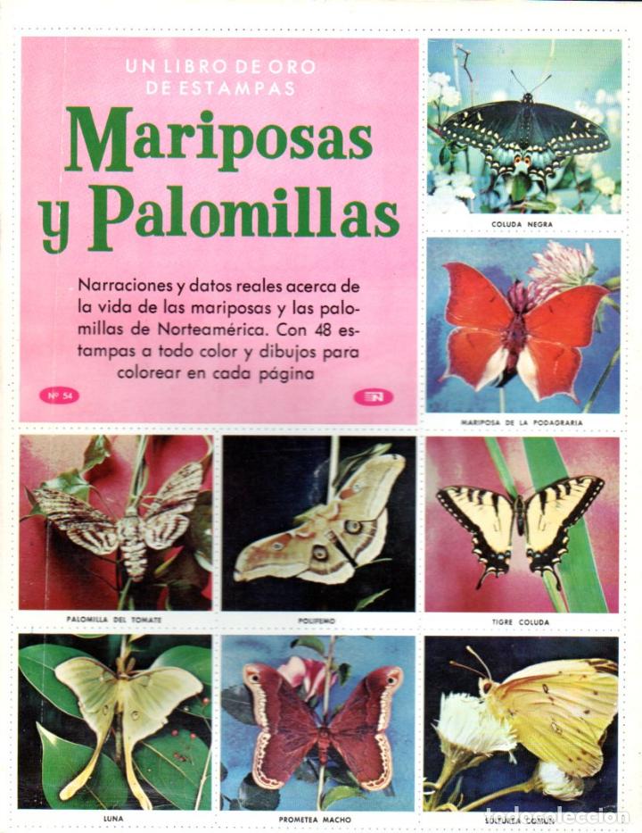 Coleccionismo &aacute;lbum: LIBRO DE ORO DE ESTAMPAS MARIPOSAS Y PALOMILLAS - Foto 1