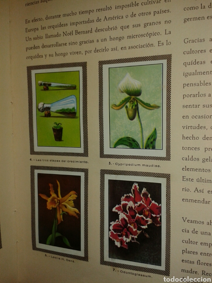 Coleccionismo &aacute;lbum: ANTIGUA ALBUN DE NESTLE - Foto 3