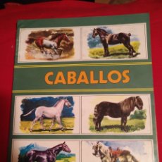 Coleccionismo Álbum: CABALLOS ALBUM CROMOS COMPLETO EDICIONES SUSAETA 1973. Lote 175547102