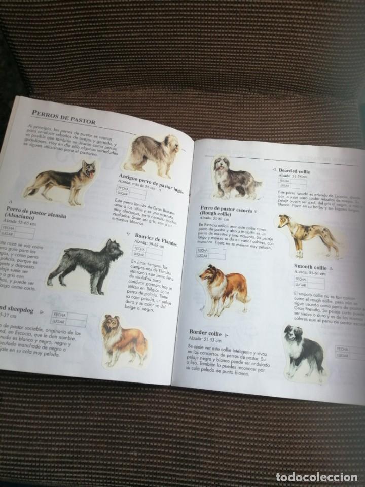 Coleccionismo &aacute;lbum: Usborne 1999 libro de pegatinas perros - raro y completo - Foto 3