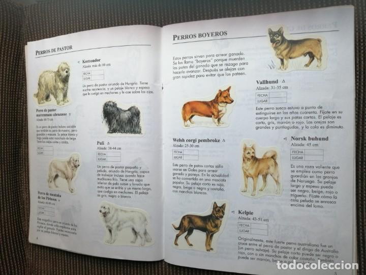 Coleccionismo &aacute;lbum: Usborne 1999 libro de pegatinas perros - raro y completo - Foto 4