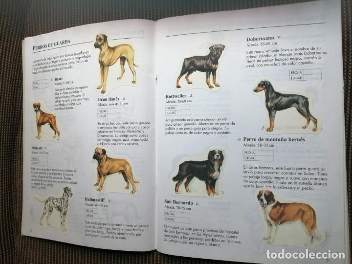 Coleccionismo &aacute;lbum: Usborne 1999 libro de pegatinas perros - raro y completo - Foto 5