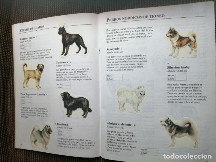 Coleccionismo &aacute;lbum: Usborne 1999 libro de pegatinas perros - raro y completo - Foto 6