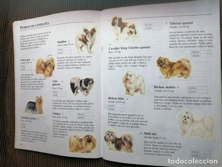 Coleccionismo &aacute;lbum: Usborne 1999 libro de pegatinas perros - raro y completo - Foto 7