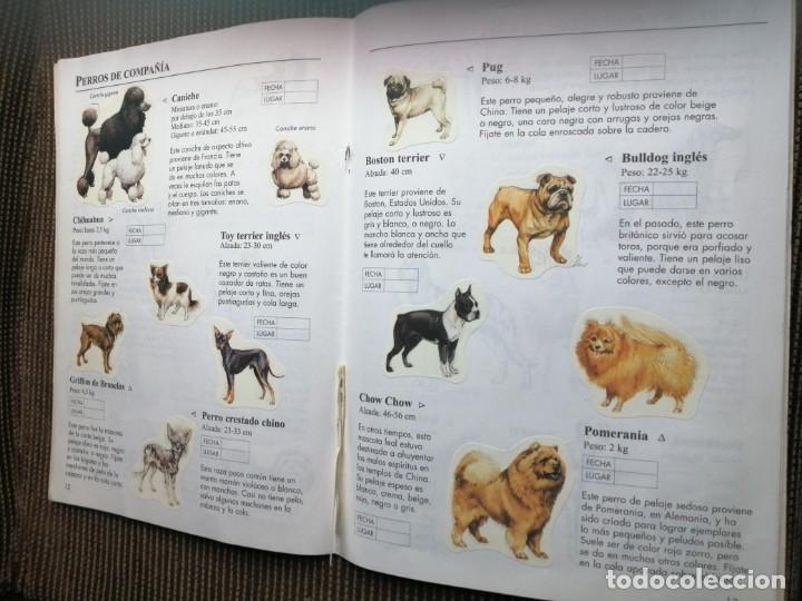 Coleccionismo &aacute;lbum: Usborne 1999 libro de pegatinas perros - raro y completo - Foto 8