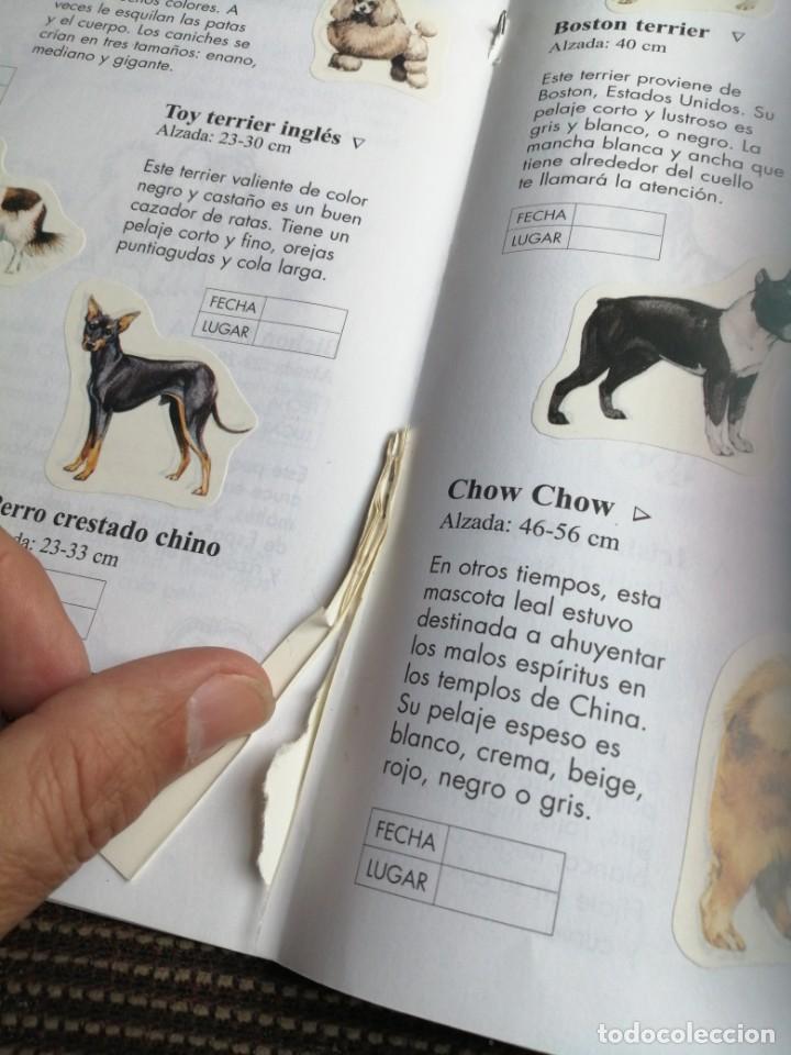 Coleccionismo &aacute;lbum: Usborne 1999 libro de pegatinas perros - raro y completo - Foto 9