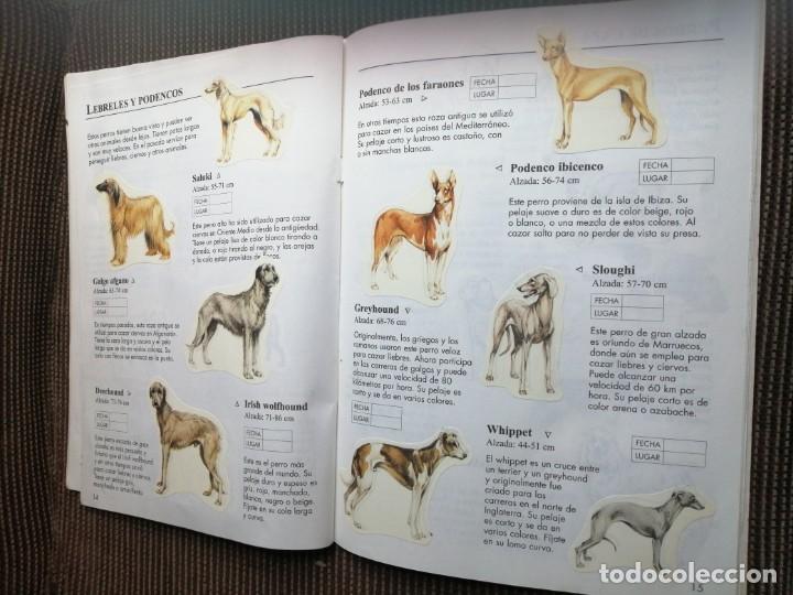 Coleccionismo &aacute;lbum: Usborne 1999 libro de pegatinas perros - raro y completo - Foto 10
