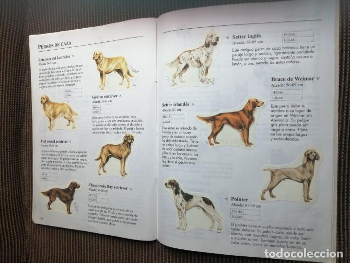 Coleccionismo &aacute;lbum: Usborne 1999 libro de pegatinas perros - raro y completo - Foto 12