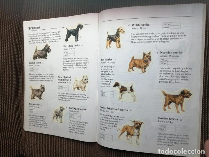 Coleccionismo &aacute;lbum: Usborne 1999 libro de pegatinas perros - raro y completo - Foto 13
