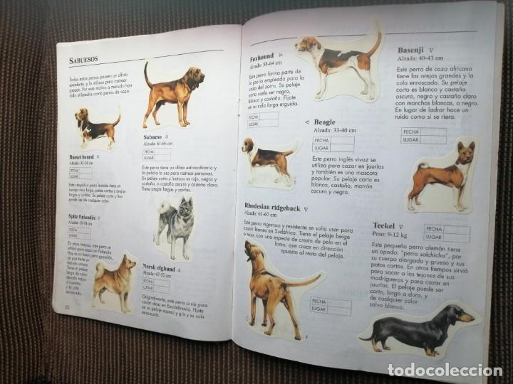 Coleccionismo &aacute;lbum: Usborne 1999 libro de pegatinas perros - raro y completo - Foto 14