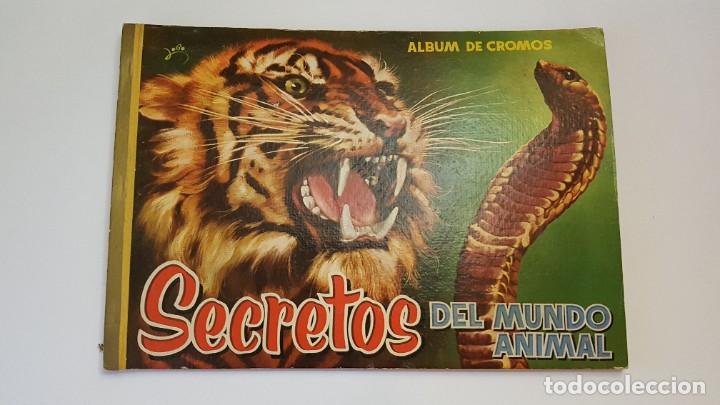 Collectionnisme Album: ROLLAN - SECRETOS DEL MUNDO ANIMAL - &Aacute;LBUM COMPLETO - TAPA DURA