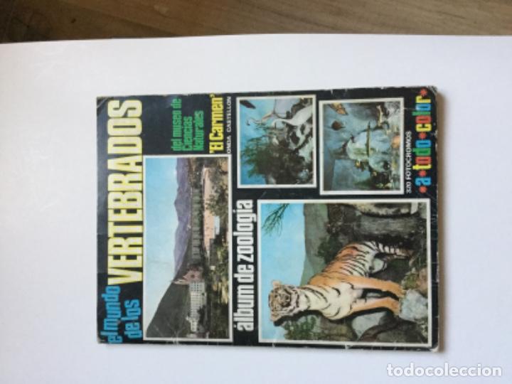 Sammeln Sammelalbum: &Aacute;lbum VERTEBRADOS completos