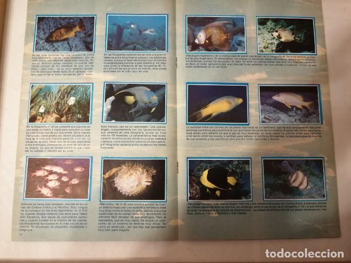 Coleccionismo &aacute;lbum: &Aacute;LBUM MIS AMIGOS LOS PECES. - Foto 6