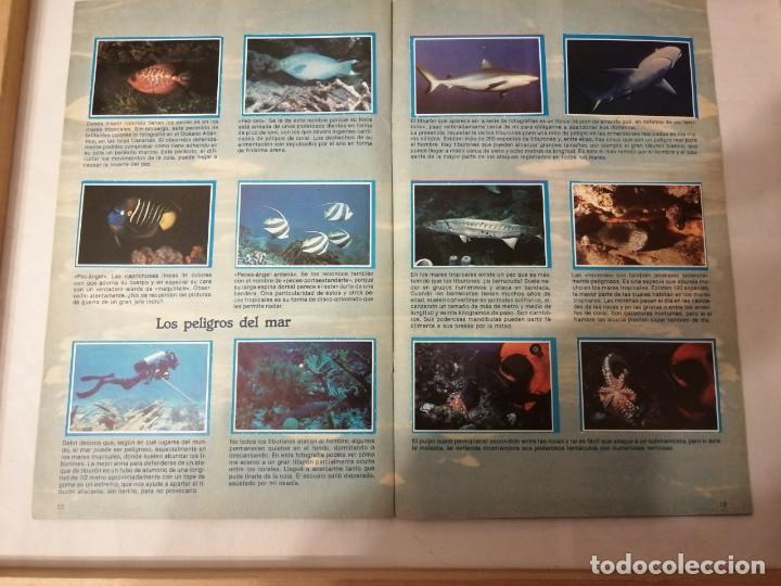 Coleccionismo &aacute;lbum: &Aacute;LBUM MIS AMIGOS LOS PECES. - Foto 7