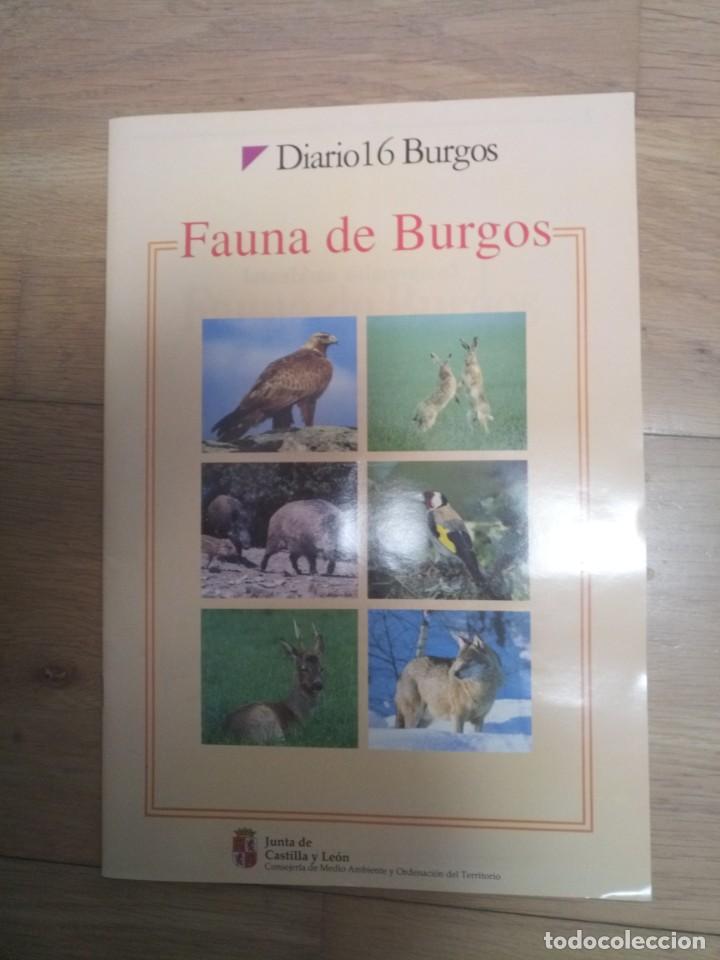 Collezionismo &Aacute;lbum: Antiguo album cromos completo fauna de burgos