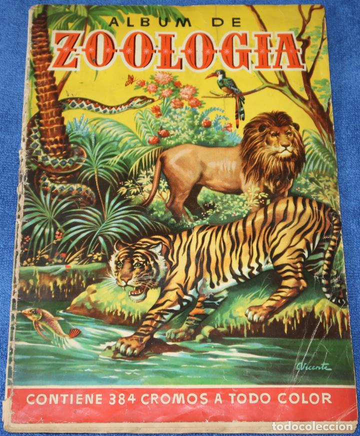 Collezionismo &Aacute;lbum: Zoolog&iacute;a - Bruguera &iexcl;Album completo!