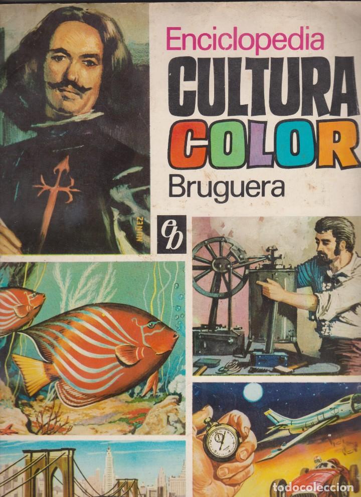 Collectable Albums: ED. BRUGUERA -- CULTURA COLOR