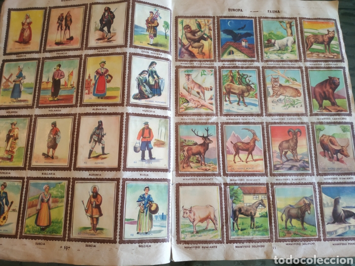 Coleccionismo &aacute;lbum: RAZAS Y PAISES DEL MUNDO - Foto 5
