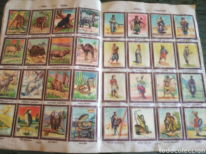 Coleccionismo &aacute;lbum: RAZAS Y PAISES DEL MUNDO - Foto 6