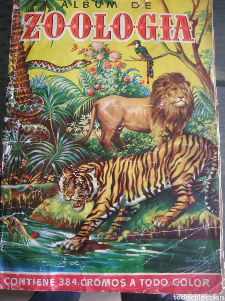 Coleccionismo &Aacute;lbum: ZOOLOGIA