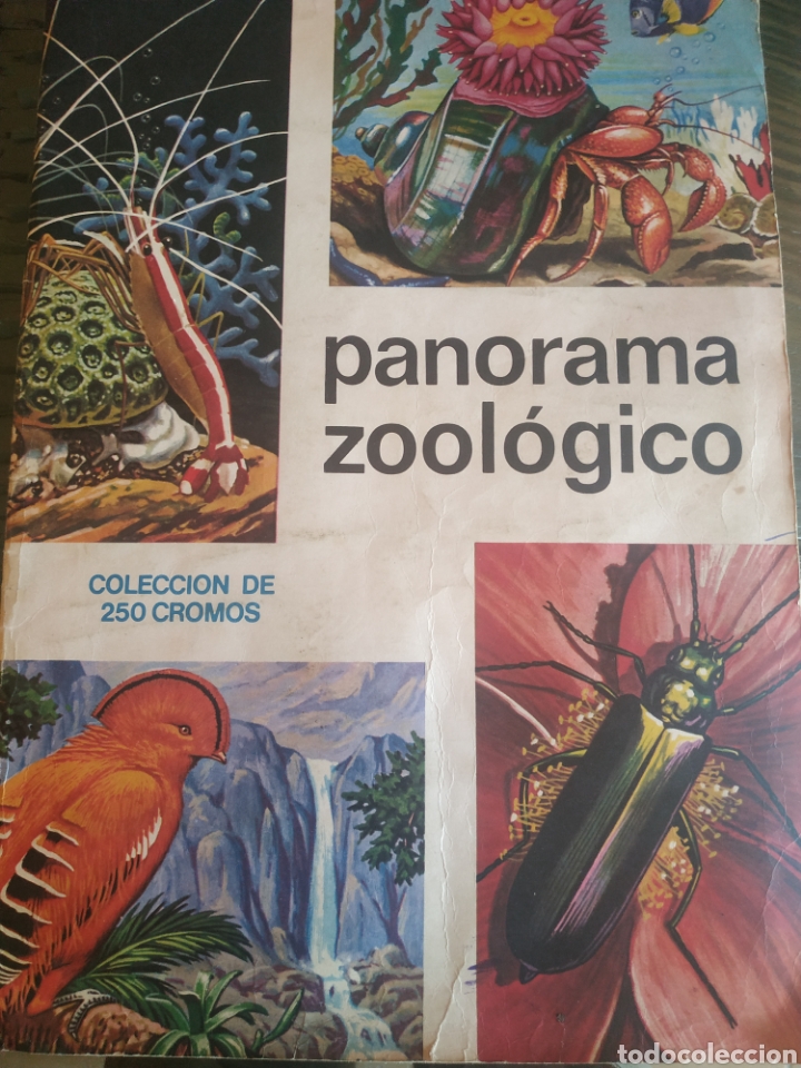 Collectionnisme Album: PANORAMA ZOOLOGICO