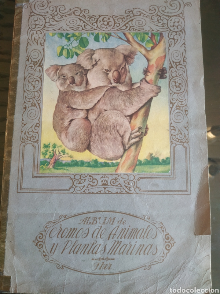 Collectionnisme Album: CROMOS DE ANIMALES Y PLANTAS MARINAS