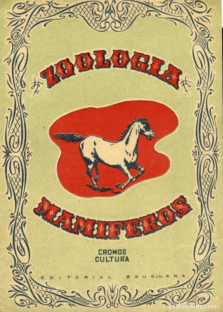 Colecionismo Caderneta: ZOOLOGIA: MAMIFEROS. CROMOS CULTURA (BRUGUERA) ALBUM NUEVO CON LOS 96 CROMOS APARTE, EN L&Aacute;MINAS.