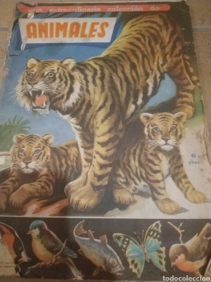 Collectable Albums: ANIMALES
