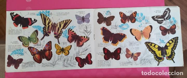 Album De Cromos Mariposas Panrico 1971 Completo Comprar lbumes album-de-cromos-mariposas-panrico-1971-completo-comprar-lbumes