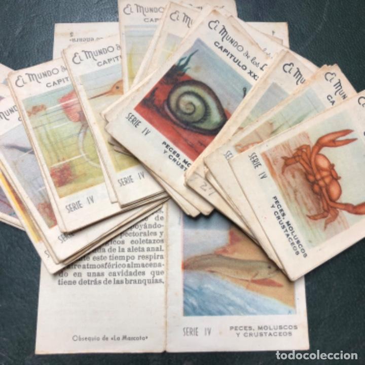 Collectable Albums: Completa El mundo de los Animales, serie IV, peces moluscos crust&aacute;ceos La Mascota
